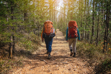Group of hikers walking with backpacks in the sunset from the back. Adventure travel, tourism, Hiking and friendship