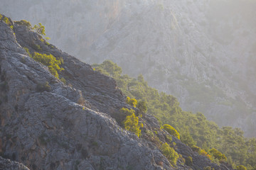 closeup mountain slope at the early morning