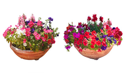 Street pots with flowers on white background