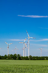 Fototapeta premium ein großes Feld mit grünem Weizen und Windrädern 
