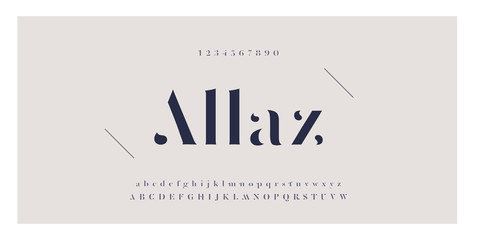 Elegant awesome alphabet letters font and number. Classic Lettering Minimal Fashion Designs. Typography fonts regular uppercase and lowercase. vector illustration © geengraphy