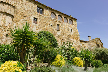 Fototapeta premium Pals at a sunny day