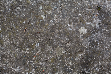 Gray molded concrete