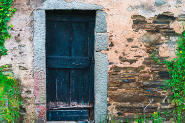 Old blue wooden door of a abandoned house with green ivy climbing on the derelict facade. 