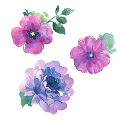 Manual composition.Flowers watercolor illustration.