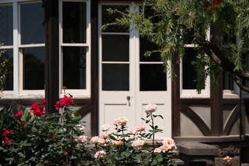 Fototapeta na wymiar 庭園のバラと家