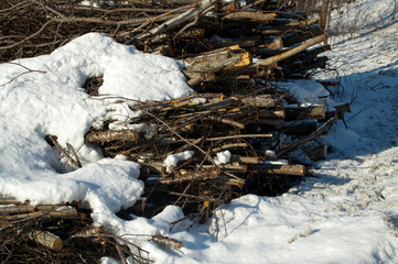 Coastline Norway, wood stack in winter landscape