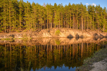 Spring river in the national Park "Meshersky", Ryazan region.