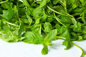 fresh and green mint