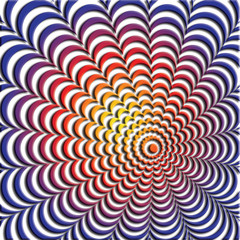 Optical Illusion Collections