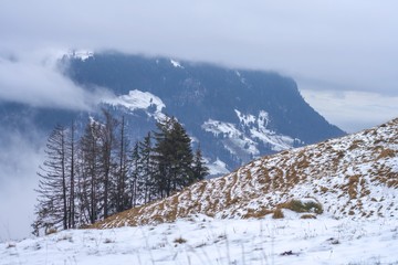 Fototapeta na wymiar beautiful winter view the mountains of Switzerland. trees