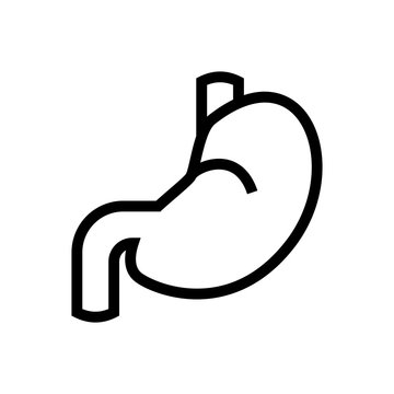 recommend clip art: stomach icon human digestion organ symbol design. line art medical healthcare vector illustration