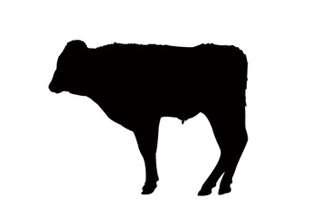 a cow body silhouette vector