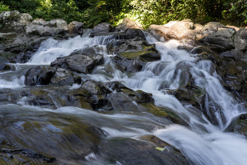 waterfall in forest