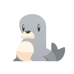 Cartoon seal animal vector isolated
