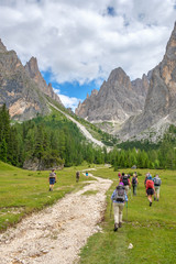 Fototapeta premium Hikers on a hiking trail in the Alps