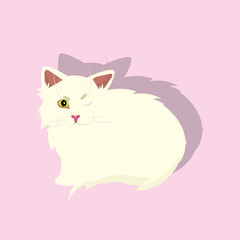 cute icon with a white cat