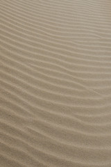 Fototapeta na wymiar Sand beach pattern. Sand texture.