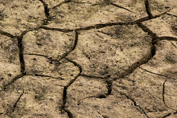 Soil cracked background. Land in dry season. Image