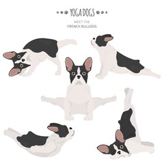 Yoga dogs poses and exercises. French bulldog clipart