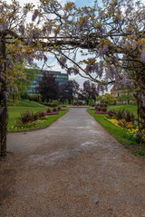 Fototapeta na wymiar Forbury Gardens, Reading Berkshire United Kingdom