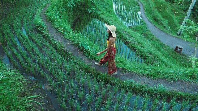 Beautiful girl spending day at the rice terrace in Bali