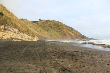 mountain and beach landscape in New Zealand