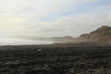 mountain and beach landscape in New Zealand