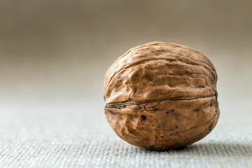Close-up of walnut in wooden shell isolated on light copy space background. Healthy tasty organic food concept.