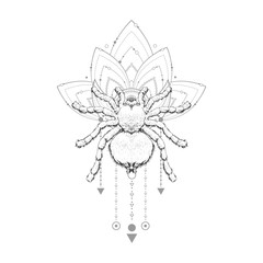 Vector illustration with hand drawn spider and Sacred geometric symbol on white background. Abstract mystic sign.