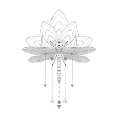 Vector illustration with hand drawn dragonfly and Sacred symbol on white background. Abstract mystic sign.