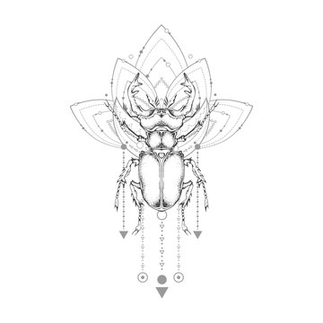 Vector illustration with hand drawn stag beetle and Sacred geometric symbol on white background. Abstract mystic sign.