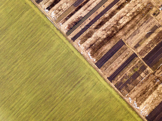 Agricultural landscape from air. Straight narrow ground road between sunny green, dry and brown plowed fields.