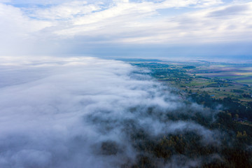 Foggy morning on forest at Baltic sea coast.