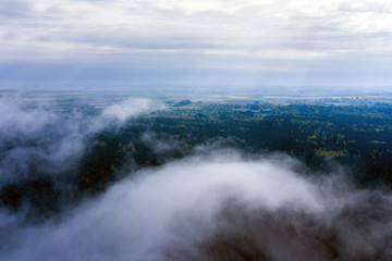 Foggy morning on forest at Baltic sea coast.