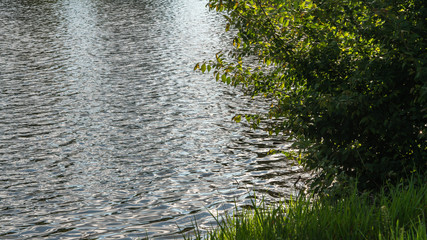 beautiful landscape near the lake