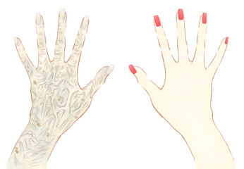 日焼けとハンドケア　老け手とケア後の美しい手指