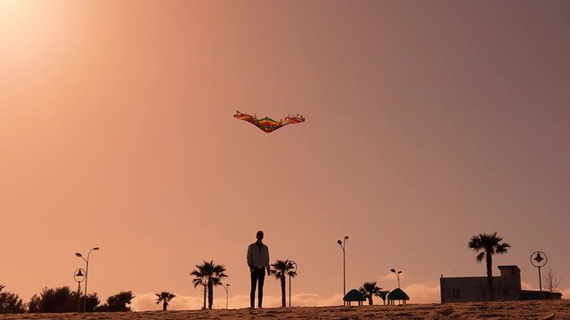 Silhouette di un giovane ragazzo che gioca con l'aquilone sulla spiaggia di fronte le palme al tramonto in riva al mare.