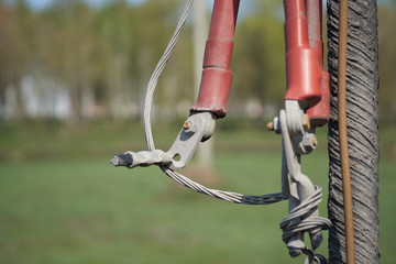 Cut high-voltage cables hang from the utility pole.