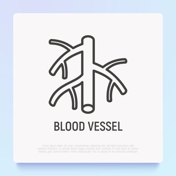 Blood vessel thin line icon. Modern vector illustration.