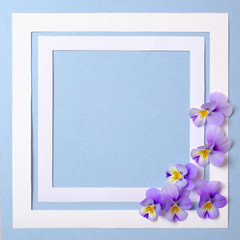 Floral frame with wild flower petals on pastel blue background. Top view, tender minimal flat lay style composition. Invitation, greeting card or an element for your design