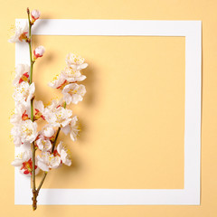 Flat lay frame with blossom sakura branches, leaves and petals on watercolor spring background. Top view, floral frame, abstract design. Invitation, greeting card or an element for your design.
