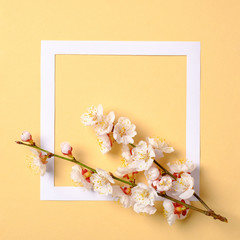 Creative flat lay composition: paper frame and blooming sakura branch on yellow background. Top view, floral frame, abstract design. Invitation, greeting card or an element for your design