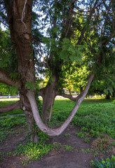 Spaziergang im Fr&uuml;hling im Stadtpark in F&uuml;rth/Bayern