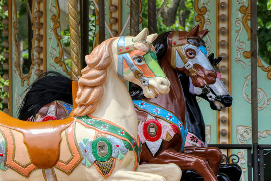Carousel with horses in an amusement park