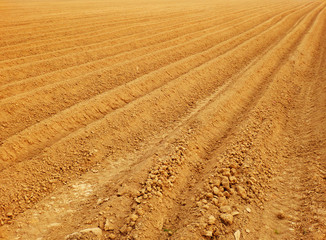 Simpole detail photography of waved field