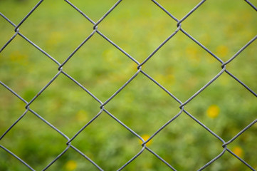 Wired fence close up shot, green grass with yellow dandelion flowers in the blured background.