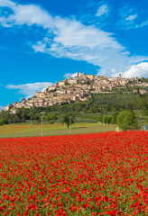 Trevi (Italy) - The awesome medieval town in Umbria region, central Italy, during the spring and flowering of poppies.