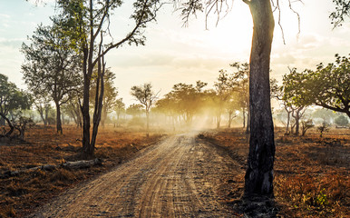 Long road in to the distance at sunset with light beams and smoke in luangwa Zambia Africa - obrazy, fototapety, plakaty
