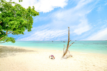 Koh Rok Island - Beautiful seascape with wounderful white beach and blue sky Best island in Koh Lanta Island Krabi Province Thailand